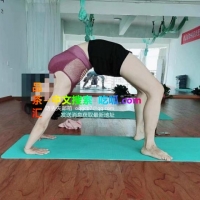 新区大胸熟女蓝玫瑰