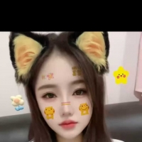 龙华观澜小野猫