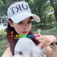 相城无敌水磨燕子